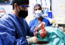 Jantung Babi Ditransplantasikan Ke Manusia Dapat Bernapas