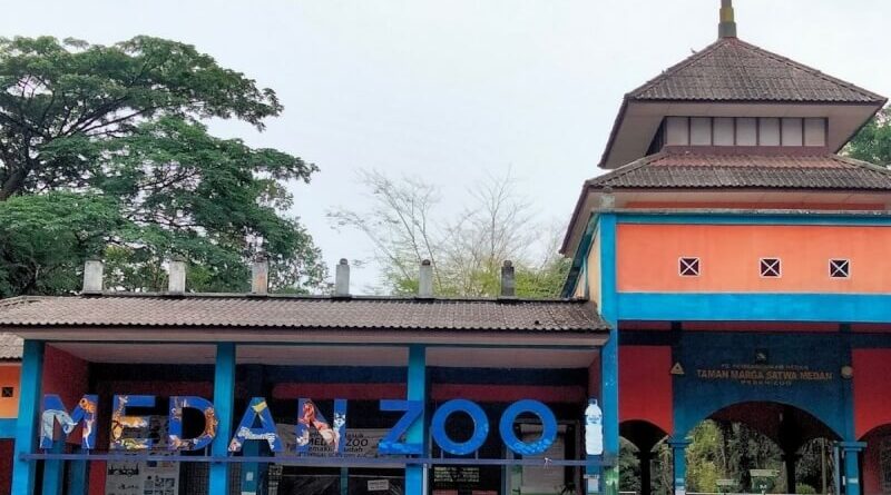 Belum Ada Solusi Walkot Bobby Nasib Tragis Medan Zoo
