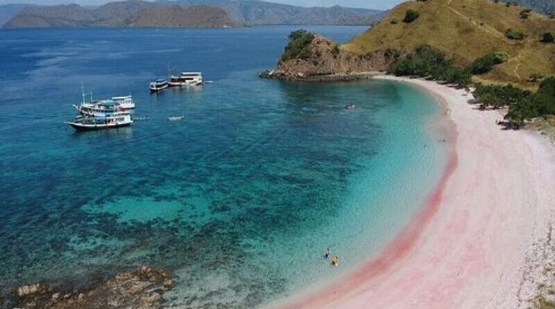 Pink Beach Pulau Padar NTT Masuk 20 Pantai Terbaik Dunia