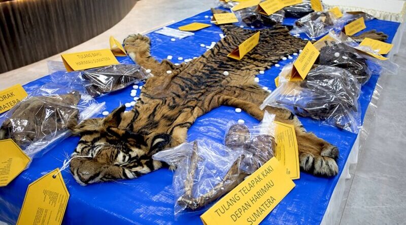 Pelaku Penjual Kulit Harimau di Tapsel Sumut Dituntut 3,5 Tahun